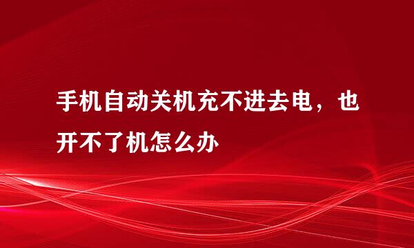 手机自动关机充不进去电，也开不了机怎么办
