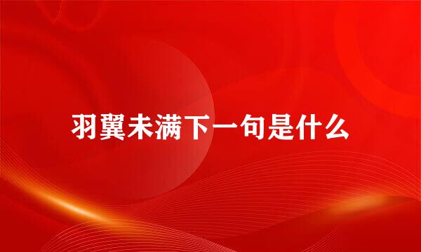 羽翼未满下一句是什么