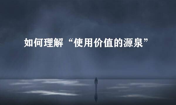 如何理解“使用价值的源泉”