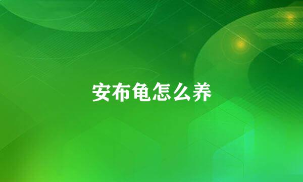 安布龟怎么养