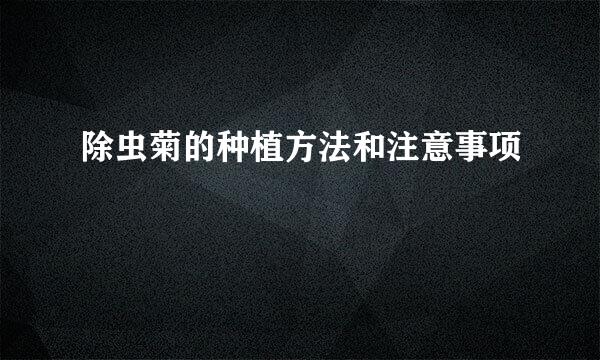 除虫菊的种植方法和注意事项