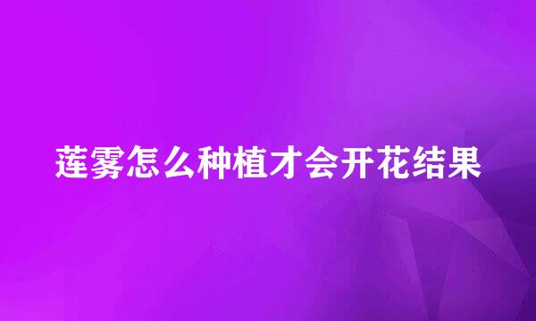 莲雾怎么种植才会开花结果