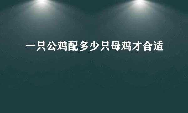一只公鸡配多少只母鸡才合适
