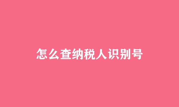 怎么查纳税人识别号