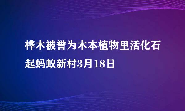 桦木被誉为木本植物里活化石起蚂蚁新村3月18日