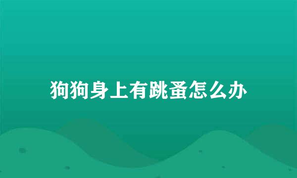 狗狗身上有跳蚤怎么办