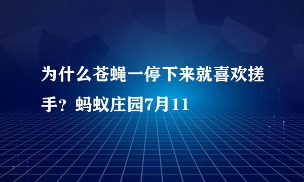为什么苍蝇一停下来就喜欢搓手？蚂蚁庄园7月11