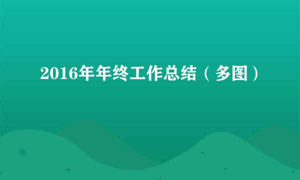 2016年年终工作总结（多图）
