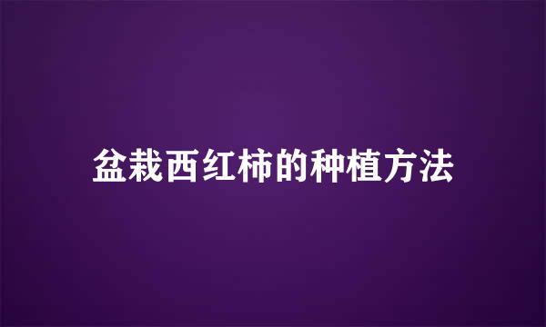 盆栽西红柿的种植方法