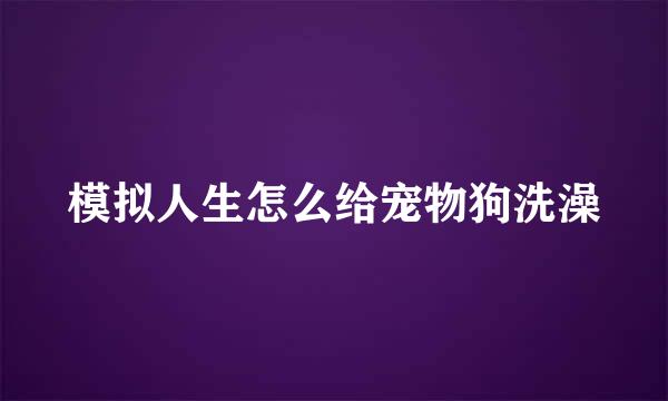 模拟人生怎么给宠物狗洗澡