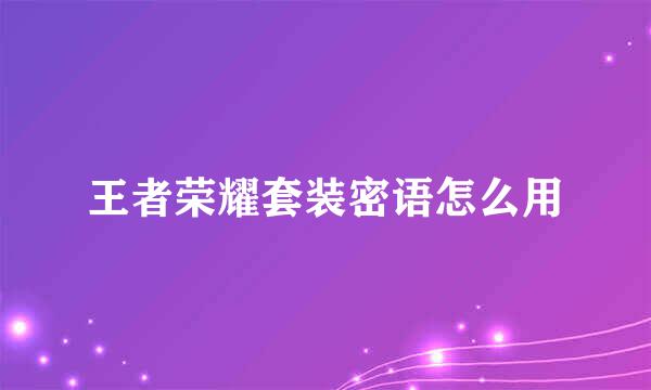 王者荣耀套装密语怎么用