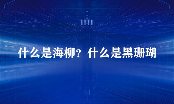 什么是海柳？什么是黑珊瑚