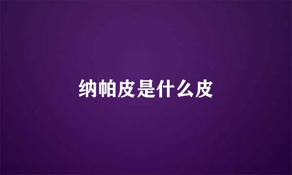 纳帕皮是什么皮