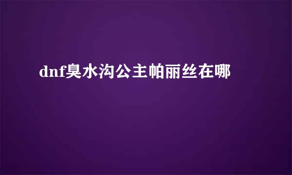dnf臭水沟公主帕丽丝在哪