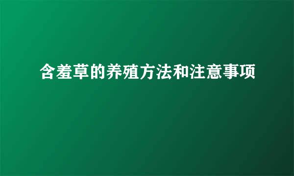 含羞草的养殖方法和注意事项