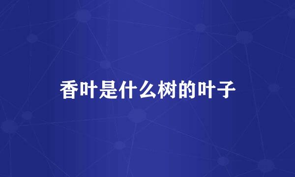 香叶是什么树的叶子