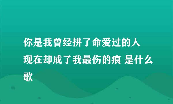 你是我曾经拼了命爱过的人 现在却成了我最伤的痕 是什么歌