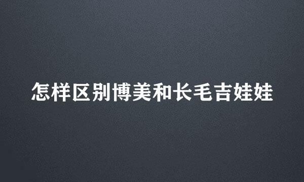 怎样区别博美和长毛吉娃娃
