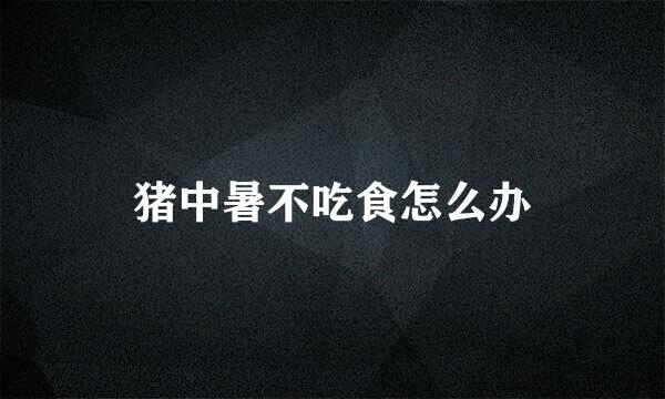 猪中暑不吃食怎么办