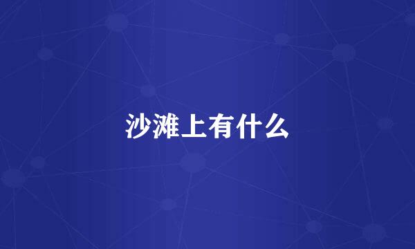 沙滩上有什么