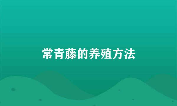 常青藤的养殖方法