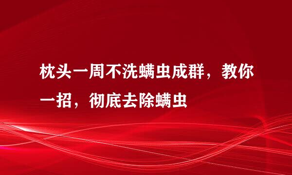 枕头一周不洗螨虫成群，教你一招，彻底去除螨虫