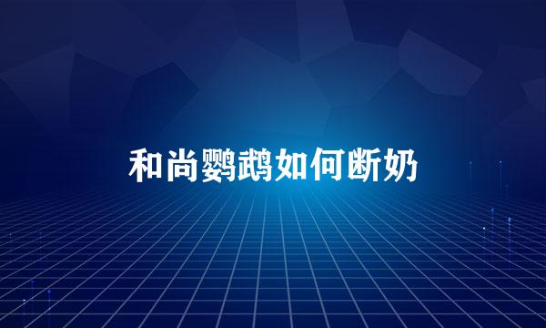 和尚鹦鹉如何断奶