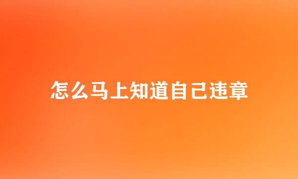 怎么马上知道自己违章