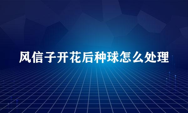 风信子开花后种球怎么处理