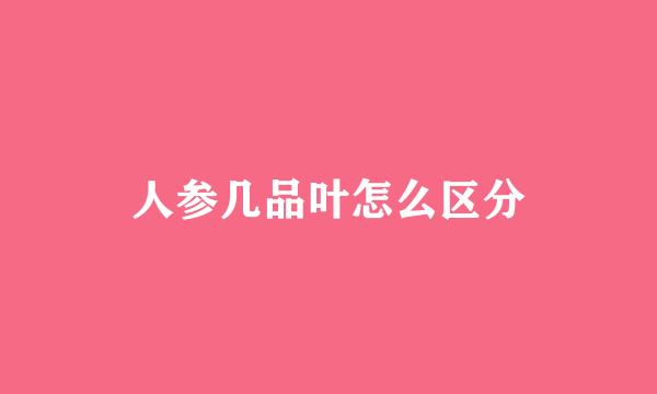 人参几品叶怎么区分