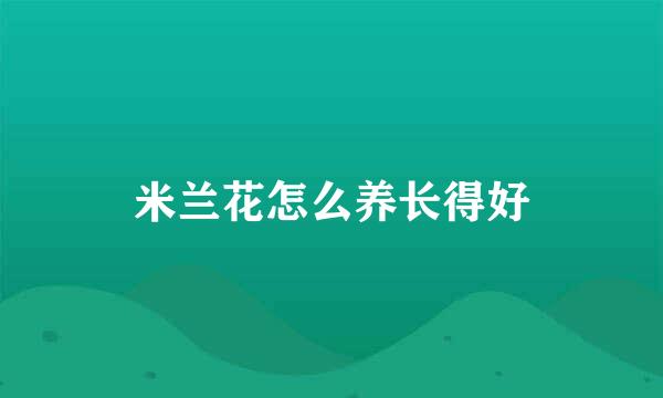 米兰花怎么养长得好