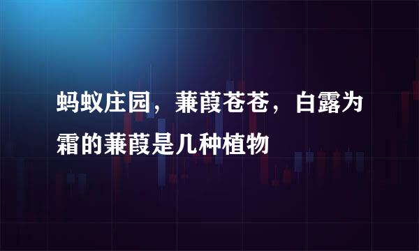 蚂蚁庄园，蒹葭苍苍，白露为霜的蒹葭是几种植物