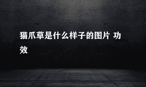 猫爪草是什么样子的图片 功效