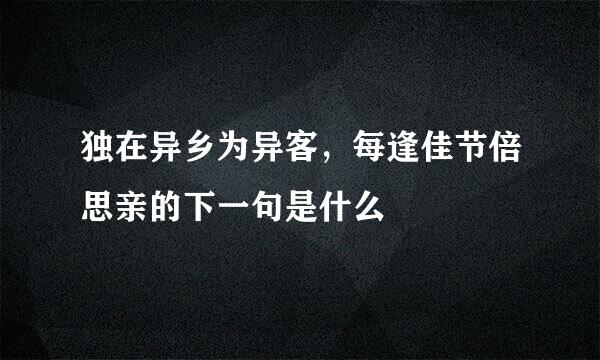 独在异乡为异客，每逢佳节倍思亲的下一句是什么