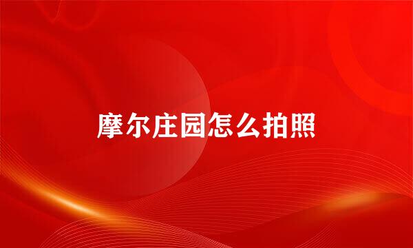 摩尔庄园怎么拍照