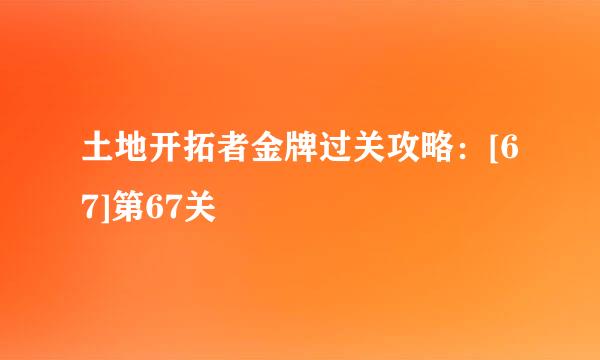 土地开拓者金牌过关攻略：[67]第67关