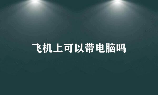 飞机上可以带电脑吗