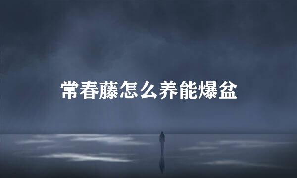 常春藤怎么养能爆盆