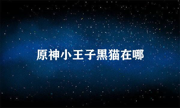 原神小王子黑猫在哪