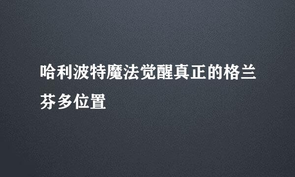 哈利波特魔法觉醒真正的格兰芬多位置