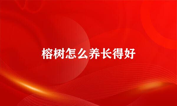 榕树怎么养长得好
