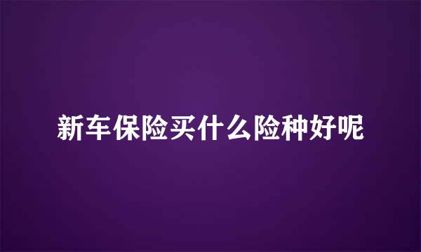 新车保险买什么险种好呢