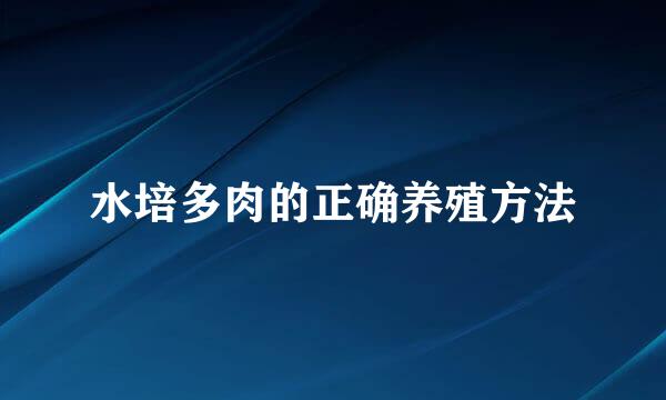 水培多肉的正确养殖方法