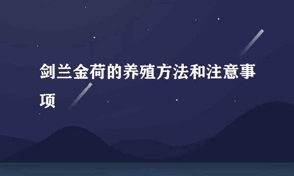 剑兰金荷的养殖方法和注意事项