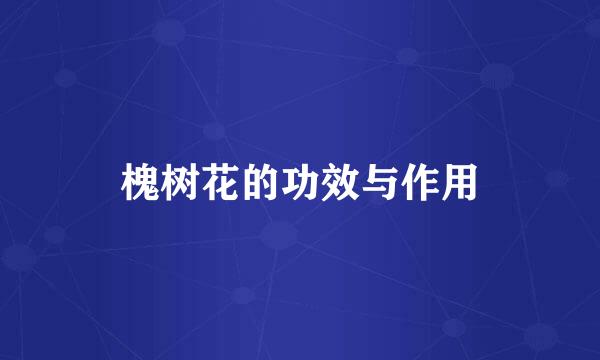 槐树花的功效与作用