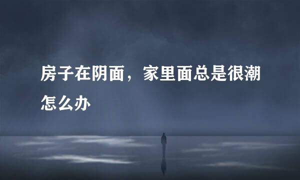 房子在阴面，家里面总是很潮怎么办