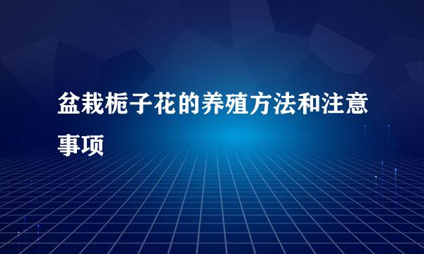 盆栽栀子花的养殖方法和注意事项