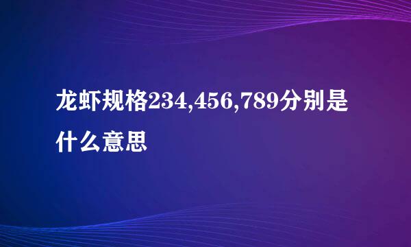 龙虾规格234,456,789分别是什么意思