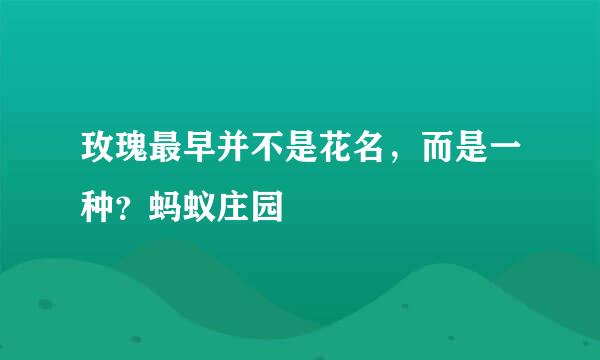 玫瑰最早并不是花名，而是一种？蚂蚁庄园