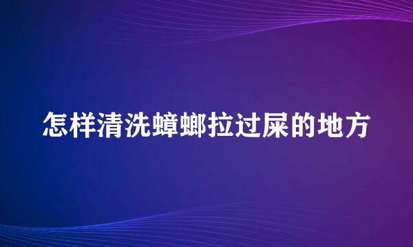 怎样清洗蟑螂拉过屎的地方